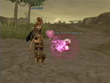 Final Fantasy XI - Online screen shot game playing